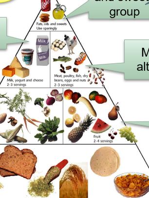 grade 10 nutrition assignment